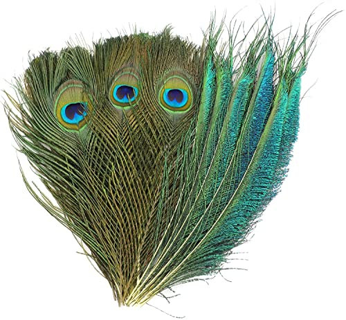 MWOOT 40 Stück Basteln Deko Pfauen Federn, Natur Pfauenfeder Schwanzfedern für Handarbeiten Verzierungen, 20-25CM Bastelfeder für Zeremonie Saisonale Party Maskenherstellung Zubehör Dekoration