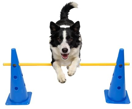 Parcours d'agilité pour chien avec set d'obstacles Ensemble portable | Kit de haies et cônes d'entraînement à l'agilité Pour compétition, , exercice en intérieur,