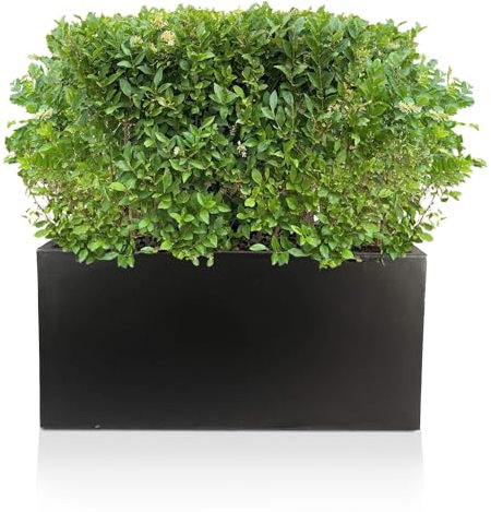 IDEALIST Large Plant Ponts 65cm Large Trough, Black Reinforced Stone, 37L