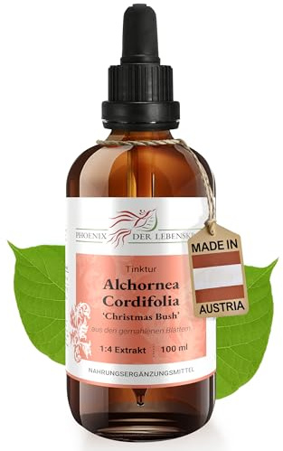 Alchornea cordifolia Tinktur 100ml | Christmas Bush Tropfen (1:4 Auszug) | Nahrungsergänzungsmittel aus Österreich | mit gemahlenen Blättern | Bitter Leaf, Ipa, Serpentwood