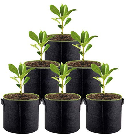 ACYOUNG Garden 6X 11L Pflanzsack aus Vlies Stoff, 3-Gallonen AtmungsaktivBeutel Pflanzsäcke mit Griffe, Ø25cm Höhe 23cm