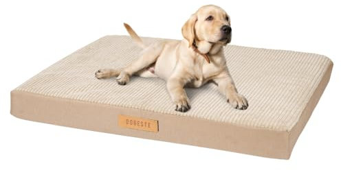 Petsen Großes Hundebett, Orthopädisches Hund Kissen Hunde-Matratze mit Waschbarer Abdeckung, Gelenkschonend Hundesofa Hundematte mit Gravieren Namen (Beige, L 90 cm x B 70 cm x H 10 cm)