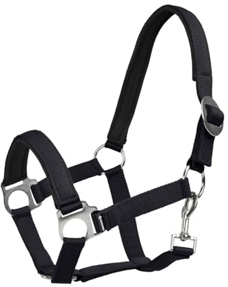 Halfter Sofia Neoprene, verstellbares Pferdehalfter mit weicher Neoprenpolsterung, Karabiner und robustem Material
