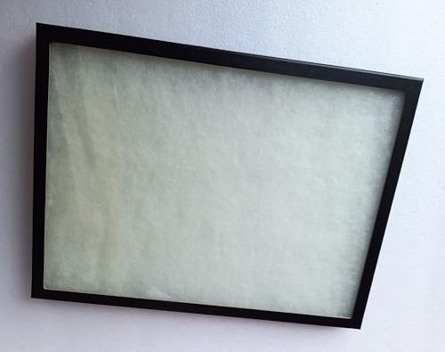 Sammlerbedarf Barleben 1 Stück Sammelvitrine, Ordenvitrine, Schaukasten - Gross - mit Echtglasscheibe, ca. 41 x 31 x 2,5 cm, weißes Füllmaterial, ohne Stifte