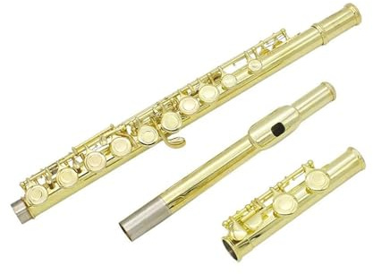Querflöte Instrument 16 Geschlossene Offene Löcher C-Tonart Professionelles Querflöte-Konzertmusikinstrument Mit Box, Stoffstab, Handschuhen(Gold B)