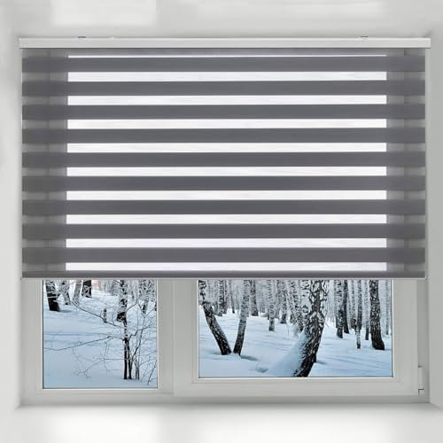 Duo Rollo ohne Bohren 45 x 220 cm Einfache Installation, Sonnenschutz Zebrarollo Seitenzugrollo Größe und Farbe wählbar für Tür & Fenster, Dunkelgrau