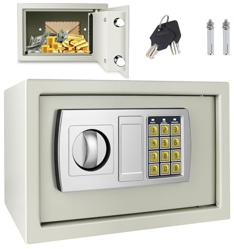 Safe Lock Box wite Keys, High Security Safety Box, 8.5L Steel Lock Safes for Home/Office, Cabinet Safe Lock Box Wall Mounted for Money Cash Jewelry Medicine Document, 31 * 19.5 * 19.5CM - White