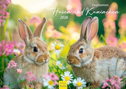 Edition Seidel Calendario Premium Fascinación Conejos y Conejos 2026 Formato DIN A3 Calendario de Pared Calendario Animales Niños