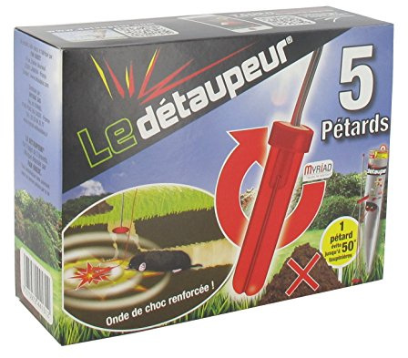 Greenstar 10950 Boite de 5 pétards pour détaper