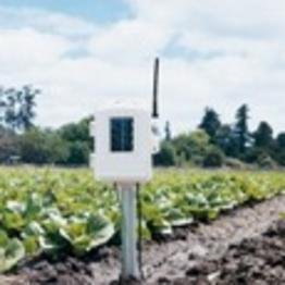 Davis Instruments Stazione di temperatura radio per foglio e terra 6345