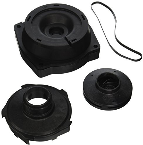 Hayward SPX2807CKIT 1-Horsepower Drivetrain Upgrade Replacement Max Flo Pump