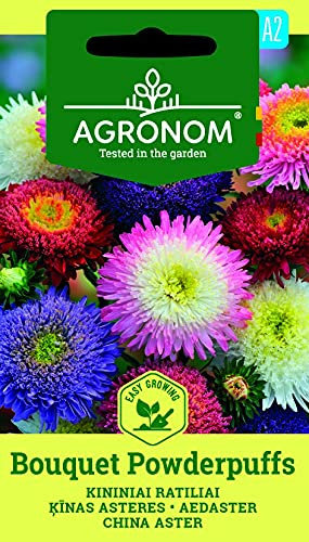AGRONOM | ASTER DE CHINE BOUQUET POWDERPUFFS des graines | Graines de fleurs | 1 Paquet