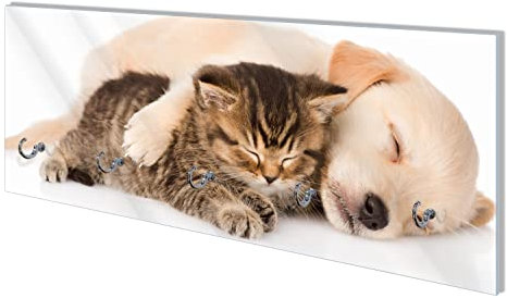 Wallario Wandgarderobe aus Glas in Größe 80 x 30 cm mit Memoboard-Funktion, Motiv: Katze und Hund in Harmonie - Kuschelnde Tiere | 5 Kleiderhaken zum Aufhängen von Jacken