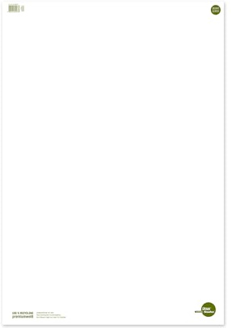 Ursus 608580000 flipchart block, tomt 80 g innehåll 20 blad, grön/premiumvitt