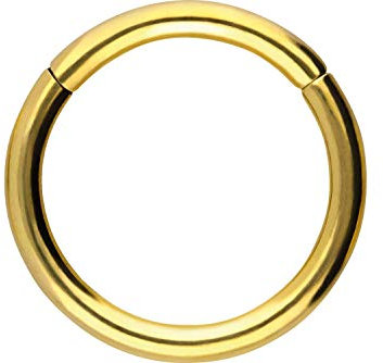 PIERCINGLINE Segmentring Clicker Titan Piercing Nase Septum Ohr Helix Lobe Tragus Goldfarben 1 x 7 mm