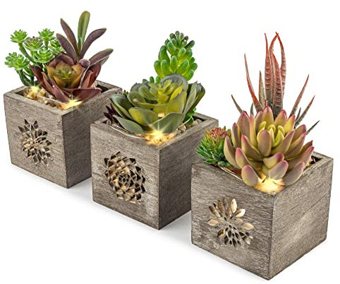 Realistische künstliche Sukkulenten – künstliche Luftpflanzen präsentiert in einer echten Holzkiste mit einzigartigem Muster und LED-Lichtern – unsere künstlichen Sukkulenten mit Topf sind ein tolles
