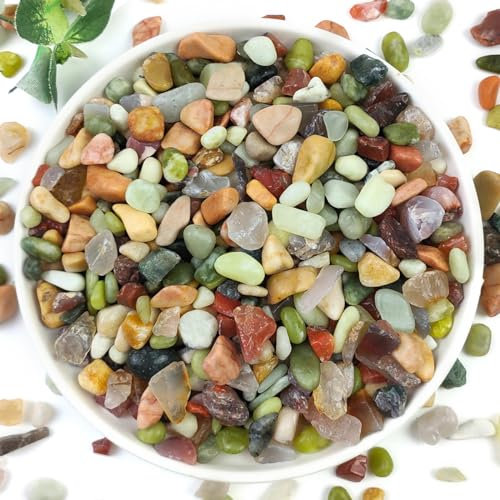 YISZM Ciottoli colorati per piante grasse e cactus, 4,5 kg, pietre decorative naturali lucide, rocce di fiume per piante da interno, vasi, fioriere e giardinaggio all'aperto