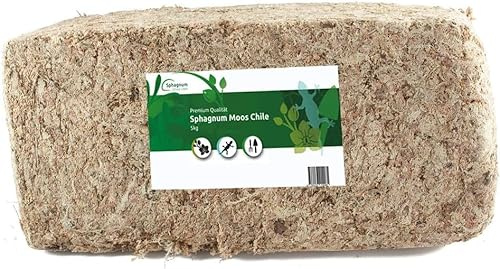 Sphagnummossa från Chile, 5 000 g, för orkidéer, blomjord och terrarium