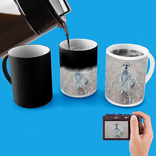 Personalised 11oz Colour Change Heat Mug - Any Text, Logo, Image OR Photo!