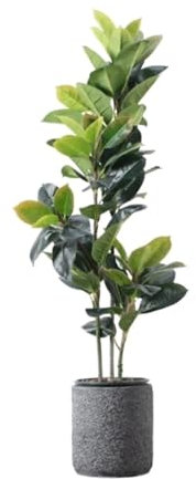 NTIYOU Pflanzen Künstliche Pflanze Simulation Gummibaum Gefälschte grüne Pflanze Büro Wohnzimmer Indoor Outdoor Dekoration