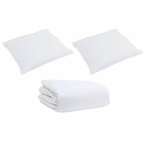 vidaXL Coperta Piumone per Interni - Perfetta per la Tua Stanza! Trapuntata, Rettangolare e Riempita con Piume D'Oca