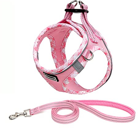 Elevant Hundegeschirr mit Leine, Step-in Weich Gepolstert Geschirr Reflektierend, Air-Mesh Atmungsaktiv Brustgeschirr, Welpengeschirr für Kleine Hunde, Haustiere, Welpen, Katzen (M, Rosa)