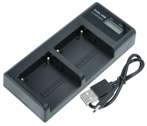 vhbw Dual Micro-USB + USB-C Ladegerät kompatibel mit Sony DCR-TRV130 | DCR-TRV130E Kamera Camcorder - Ladeschale + Micro-USB Kabel Ladeanzeige
