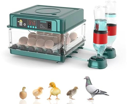 Brutautomat Vollautomatisch Brutmaschine Vollautomatisch Inkubator Hühner für 10-36 Eier, Brutkasten Hühner mit Automatischem Eierdrehen und Automatischer Wasserzugabe für Zucht von Hühnern (15 Eier)