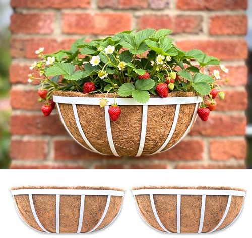 LaLaGreen Window Planter Box (16 Inch, 2 Pack) White Metal Deck Railing Flower Boxes with Coco Liners, Rectangular Wall Planters for Outdoor Plants Horse Troughs Fence Balcony Garden Herb Patio Porch
