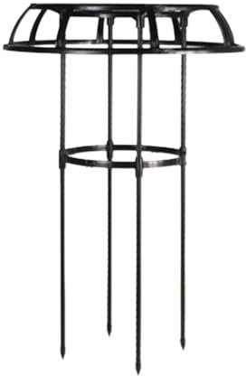 Treillis pour rosiers grimpants - Treillis de clématites en forme de parapluie pour l'extérieur | Cage autoportante pour grimpantes pour vignes et fleurs | Tour de support robuste pour jardin