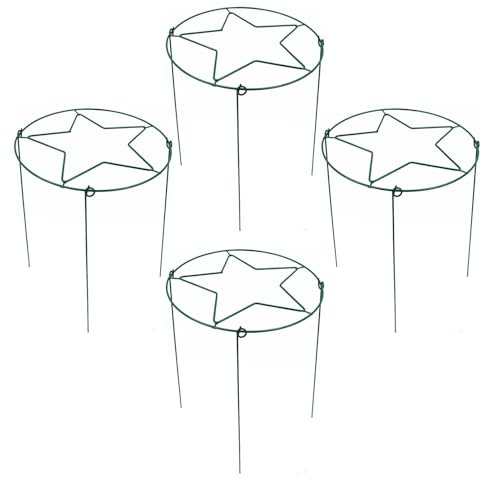 Supporto Per Peonie 4 Pezzi In Metallo Resistente Riutilizzabile | Gabbie E Supporti Piante Da Giardino per Rose Pomodori Dalie Peperoni Piante da Frutto Monstera Aloe Interno Esterno