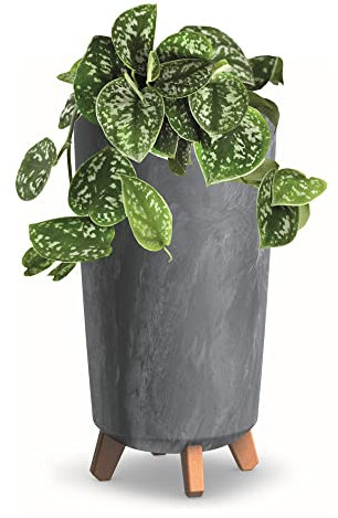 botle Maceta con pies HOH Cubremacetas Redondas Cesta de plantación D 24 cm Oscuro Gris Oscuro Macetas de Plástico Macetas Aspecto Hormigón Árbol de Dinero Cactus Árbol de Goma