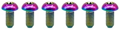 RISON-Titanium Fahrrad Bremsscheiben Schrauben M5x10mm, Titanschrauben Fahrradrotorschraube Torx Kopfschrauben, Fahrräder Bremse Rotor Schraube Scheibenschrauben für MTB, Mountainbike, 6 Stück