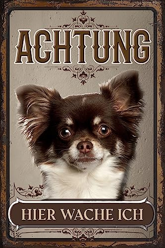 Wetterfestes, stabiles Hundeschild für den Außenbereich - Hinweisschild: Achtung hier wache ich! - Hunde Deko Alu Dibond Schild, wetterfest 30 x 20 cm (Chihuahua Langhaar)