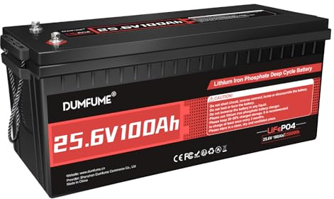 Dumfume LiFePO4 Batterie 24V 100Ah, 24 Volt Lithium Batterie | 100A BMS, 2560Wh, Solar Batterie Low Temperature Protection Ideal für Wohnmobil, Solar Speicherung, Off-Grid Systeme