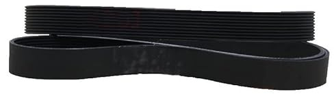 Generico 25 0J 260J 270J 280J 290J 300J 310J 320J 320J 330J 340J PJ Cintura di Fitness con Cintura della Cintura delle costolette della Cinghia(340J 864mm,6ribs)