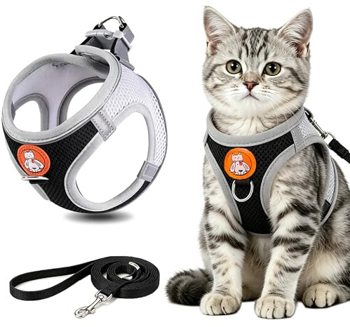 Cat Harness, Verstellbares Brustgeschirr für Kleine Hunde & Katzen mit Leine, Atmungsaktives Mesh, Reflektierend, Ausbruchsicher, Welpengeschirr,Katzengeschirr Mit Leine Ausbruchsicher (Schwarz, M)