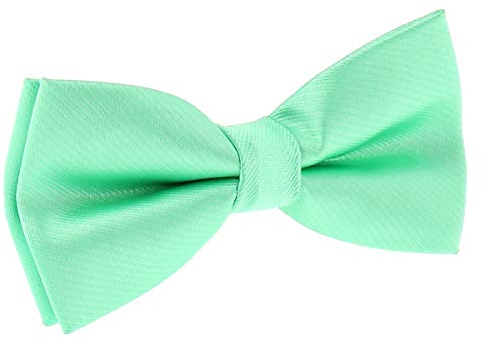 SHIPITNOW Herrfluga – 30 färger – herrfluga bröllop, fest – satintyg, enfärgad – förbunden, Mintgrön (pastellgrön)