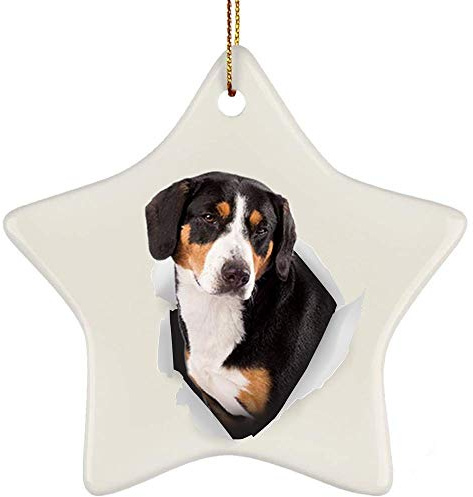 Weihnachtsbaumschmuck Mit Schnur Weihnachtsanhänger Keramik Christbaumschmuck Anhänger Geschenkanhänger Lustiger Entlebucher Sennenhund Black Tan Kommt Aus Rissiger Wand