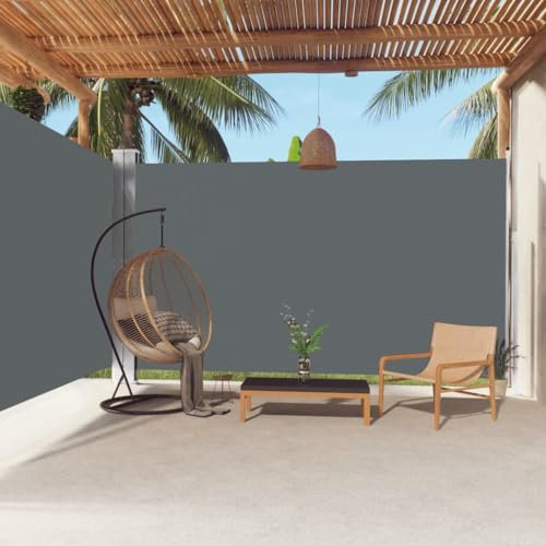 Coavain Ausziehbare Seitenmarkise 220x600 cm Seitenmarkise Ausziehbar Privacy Screen Außen Sichtschutz für Balkon & Terrasse Balkon Sichtschutzwand Side Awning Anthrazit Stoff&Stahl&Aluminium