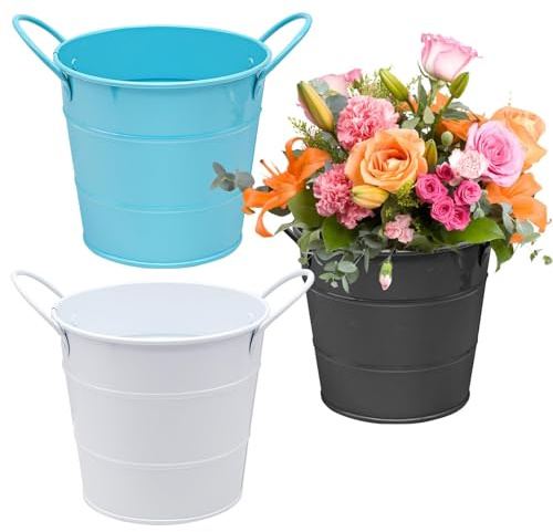 Mudoulu Set de 3 Mini Cubos de Metal Vintage con Asa, Macetas Decorativas para Flores, Hierbas o Plantas, Cubos Resistentes Antióxido para Jardín, Balcón y Decoración de Mesa