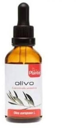 Agricultural Crafts Olive Extract Maese Herbarium 50ml - Pack of 2 (100ml Total)