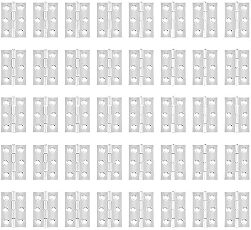 CHUEHKAK 40 cerniere pieghevoli in acciaio inox, 44 x 31 mm, cerniere per porta con 240 viti, cerniera pieghevole per finestre, armadi, porte in legno, cassetta degli attrezzi, porte per mobili, ecc