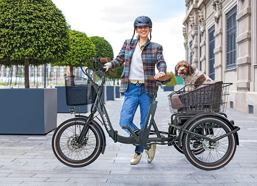 BLAUPUNKT Minna Faltbares E-Trike, Schwarz, Aluminium-Rahmen, 20 Zoll, 150kg Zuladung, 60km Reichweite, Klappbar.