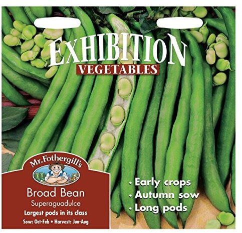 Mr Fothergill's 13973 Vegetable Seeds, Broad Bean Superaguadulce