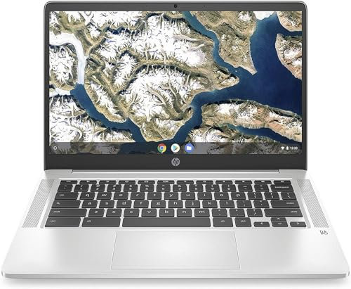 HP Chromebook 14a-na0004sl, Intel Celeron N4120, 4GB RAM LPDDR4, eMMC da 64GB, Display da 14 FHD, IPS, Antiriflesso, Scheda grafica Intel UHD 600, Wi-Fi, ChromeOS, Webcam HD, Silver, Argento