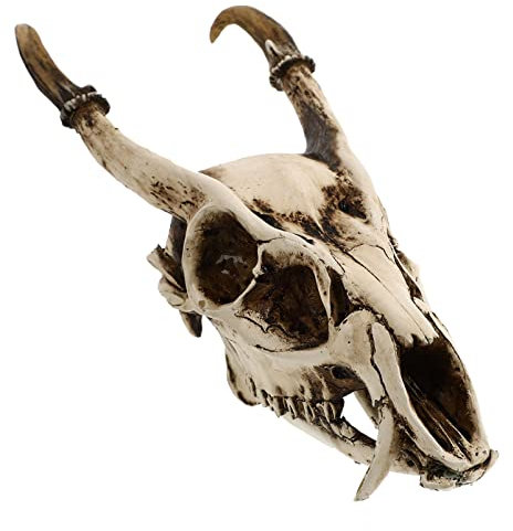 Beavorty 1pc Decorative Goat Skull Shaped Aquarium Ornament Realistic Resin Craft for Home Decor Vintage Viking Style Skull Model for Festive Atmosphere and Garden Decoration