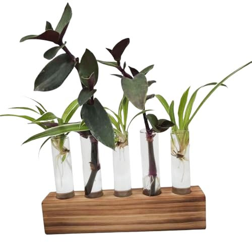 Vase à Tube à Essai, Station De Tubes De Propagation, Petits Vases en Verre pour Fleurs Et Plantes Hydroponiques-5A