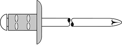 GESIPA Blindniete PolyGrip 100 Stück (Alu/Stahl 4,8x25 K 16, Nietschaft-ø 4,8 mm, Scherkraft 1500 N, Zugkraft 2300 N, Großkopf) 1433840