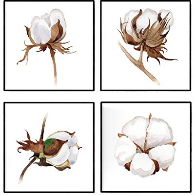 Nacnic Set de Cuatro láminas ALGODÓN. Tamaño 20x20